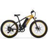 GTXR &amp; GOGOBEST GF600 electric bike 