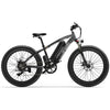 GTXR &amp; GOGOBEST GF600 electric bike 