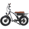 GTXR &amp; GOGOBEST GF750 electric bike